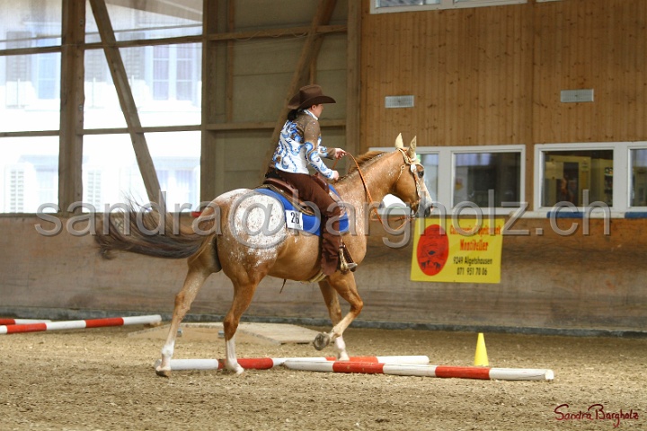 26-ApHC GT_204.jpg